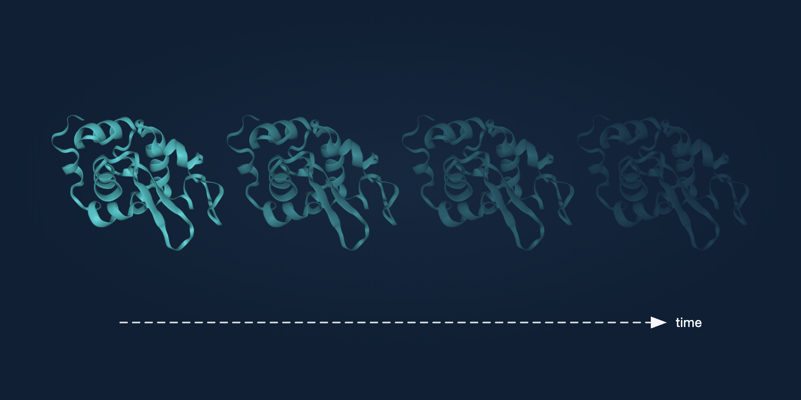 A protein shown in successive conformations along a time axis