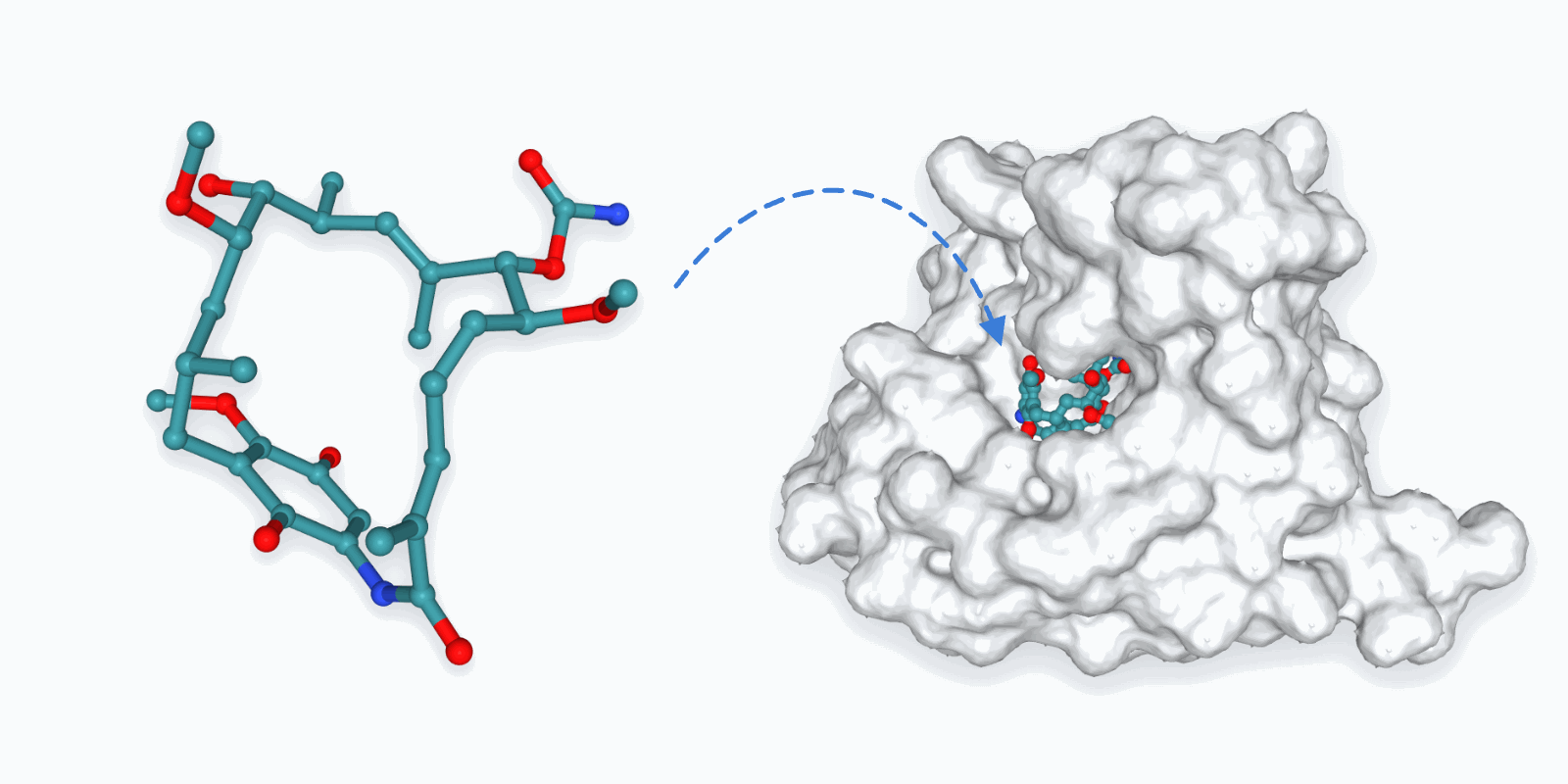 A small ligand docking into a pocket on a protein surface