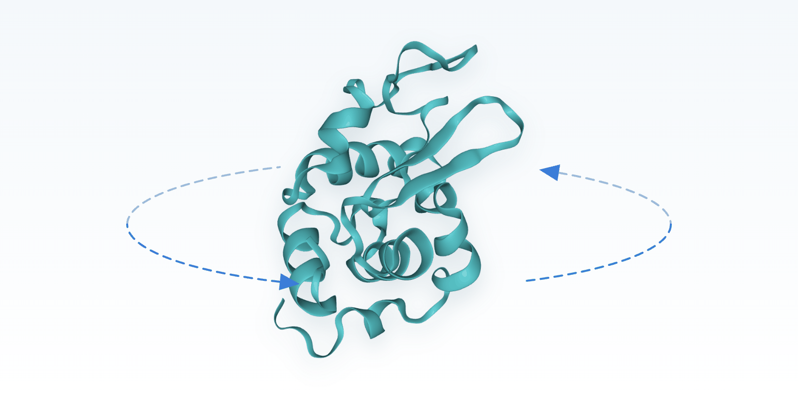 A protein ribbon structure with rotation arrows around it